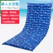 單人 水墊/水床/水涼墊-190X75cm 送水枕/涼枕(可當沙發坐墊 冰枕)