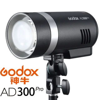 AD300 Pro 300W TTL 鋰電池 外拍閃光燈/補光燈(公司貨)