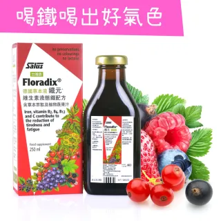 【歐洲屋】德國草本液-Floradix鐵元250ml(植物液態鐵)