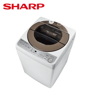 11公斤專利不鏽鋼無孔槽變頻直立式洗衣機(ES-ASF11T)