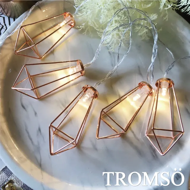 【TROMSO】LED聖誕裝飾燈飾10燈組(燈飾LED裝飾露營)