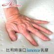 【Antonia】親膚乳膠護框德國AGRO獨立筒床墊(雙人5尺)
