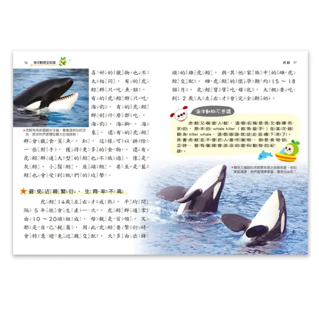 世一 海洋動物全知道 兒童閱讀通 Momo購物網 雙11優惠推薦 22年11月