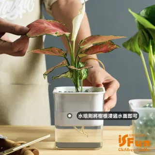 【iSFun】懶人園藝＊自動吸水透視水土培花盆(2色可選)