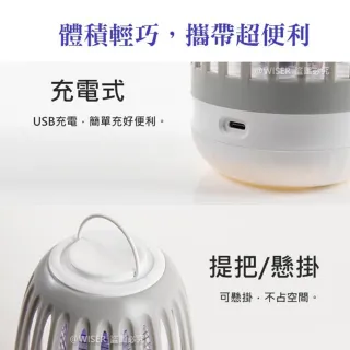 【捕蚊之家】USB充插二用電擊式捕蚊燈/滅蚊燈-夜燈/吊環設計-二入組(CJ-008)
