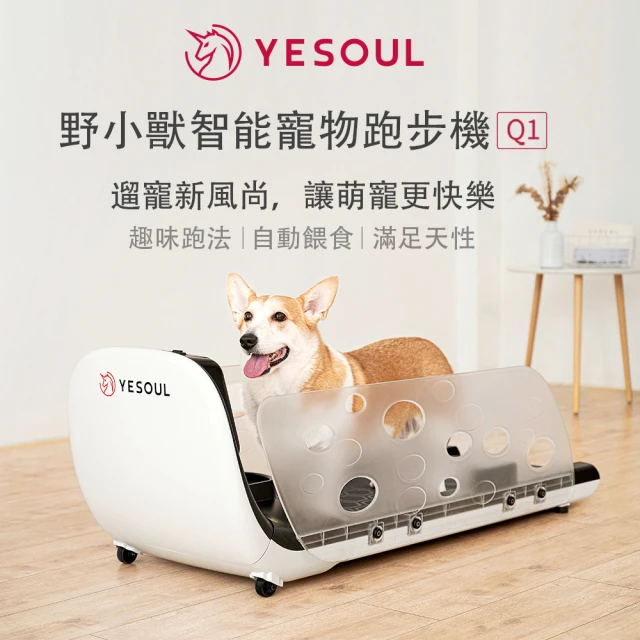 小智跑步機