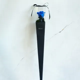 【CNFlower 西恩】藍玫瑰 恆星花單錐禮盒(送禮/買花/恆星花/花禮)