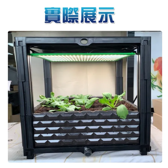 Jiunpey 君沛 50w 加強型全光譜有機蔬菜種植育苗箱 Led生長栽培箱 Momo購物網 好評推薦 22年12月
