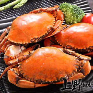 【上野物產】菲律賓進口 南洋活凍5兩紅蟳 x6盤(海鮮 螃蟹)