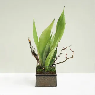 10bet Hx64 Com Cn Coco 西恩 Momo購物網