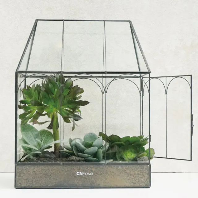 Cnflower 西恩 免運專人專車配送限台北市綠色滿屋多肉植物 送禮 植栽 植物 觀葉植物 多肉 Momo購物網 好評推薦 23年2月