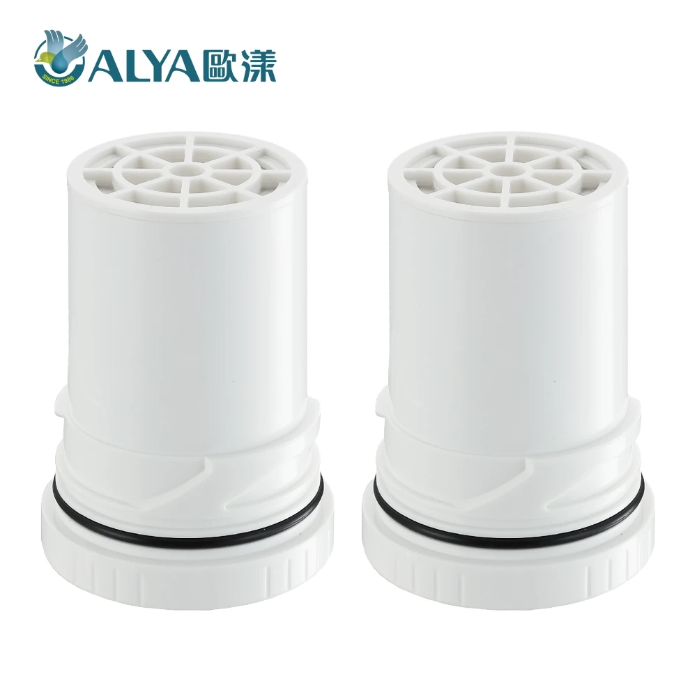 【ALYA 歐漾】龍頭式除菌淨水器 FF-5600專用濾芯二入組 FF-11UF(NSF認證中空絲膜濾材)