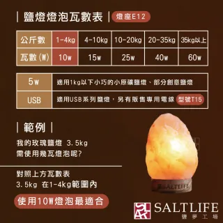 【鹽夢工場】15w鎢絲燈泡-買五送一6入裝(鹽燈專用燈泡)