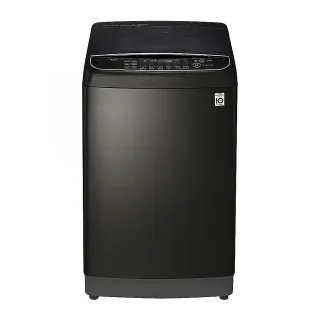 【LG 樂金】13公斤◆WiFi蒸氣變頻直立式洗衣機 極光黑(WT-SD139HBG)
