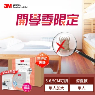 【3M】防蹣可調式泡棉床墊/折疊床墊-單人加大+可水洗涼夏被-薄霧灰