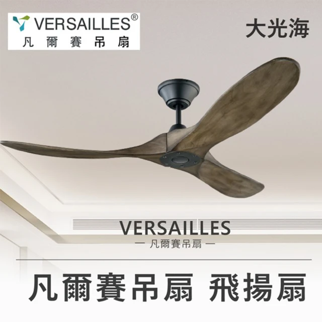 【VERSAILLES 凡爾賽】飛揚扇風化灰色60吋附15cm吊管(本體色金屬髮絲/隕石黑)