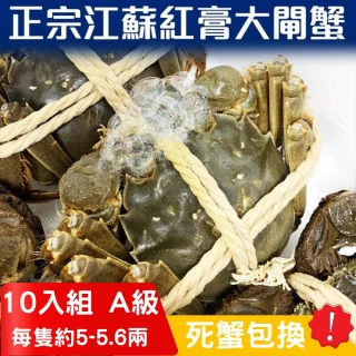 【RealShop 真食材本舖】正宗活體江蘇紅膏大閘蟹 A級 10隻入(每隻約5~5.6兩 不含繩重 死蟹包換)