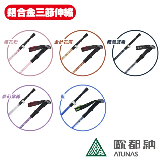 輔助拐杖
