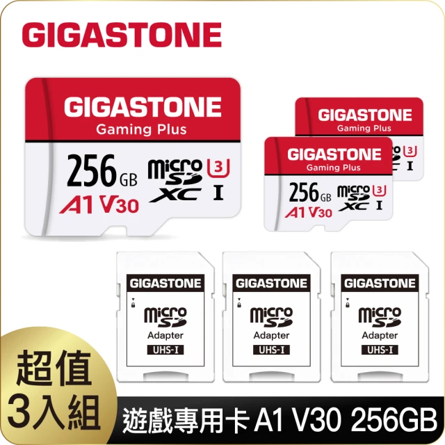 Gigastone 立達國際 CFexpress Type 