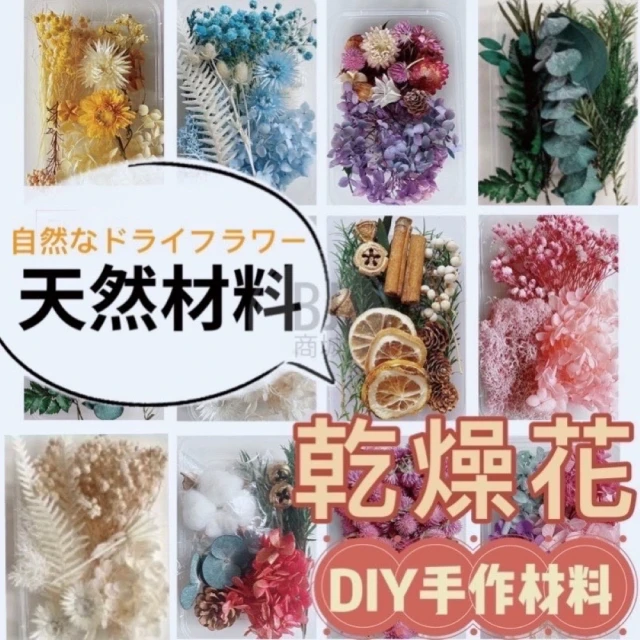 【BJ SHOP】植物果實 花材 花藝材料包 浮游花 浮油花 乾花(天然乾燥花 永生花)