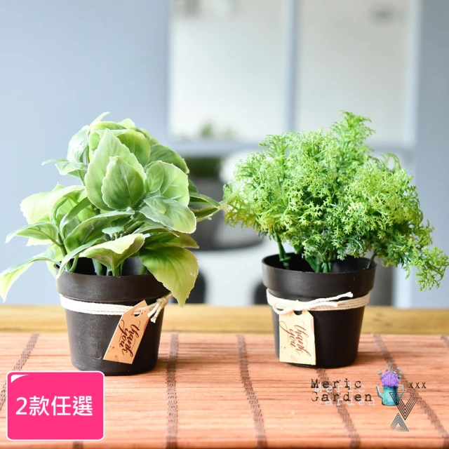 Meric Garden 創意北歐仿真療癒小綠植盆栽/桌面裝飾擺設_2款任選(假綠植物 療癒小物 假花盆栽)