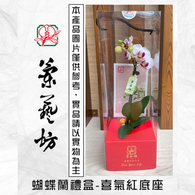 蘭藝坊 蝴蝶蘭1.7吋禮盒-喜氣紅(蝴蝶蘭禮盒)