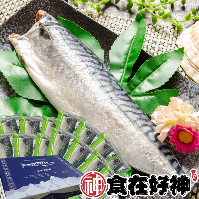 挪威直送巨大規格鯖魚禮盒回饋組