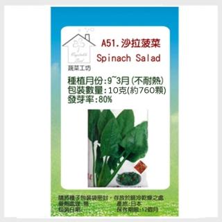 【蔬菜工坊】A51.沙拉菠菜種子