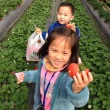 【農遊超市】台北東林休閒農園(冬季限定莓好時光)