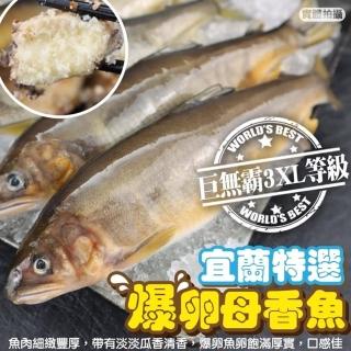 【三頓飯】宜蘭特選3XL爆卵母香魚(1盒 8尾/1kg/盒)