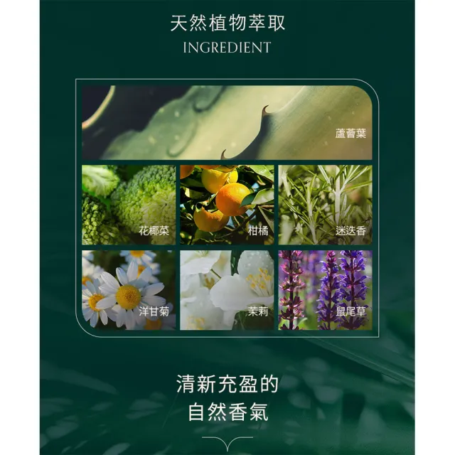 【MUMCHIT】擴香瓶1組2入(杜桑晚香玉/英國梨與小蒼蘭)