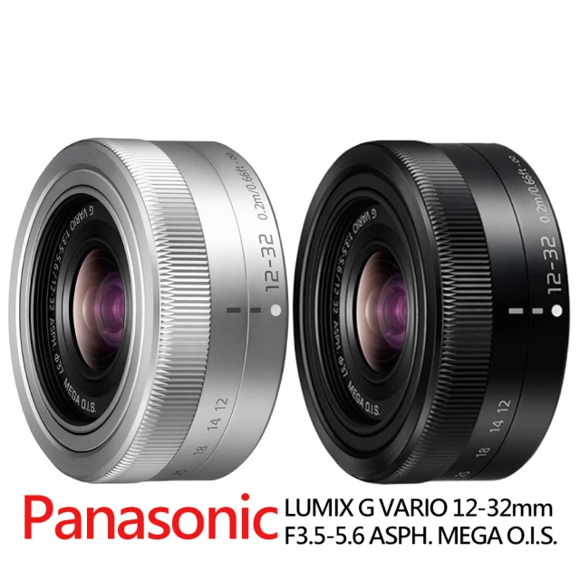 Panasonic 國際牌 LEICA DG VARIO-E