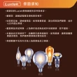 【Luxtek樂施達】高效能 LED 長條型燈泡 6W E27 黃光 10入(LED燈 燈絲燈 仿鎢絲燈)