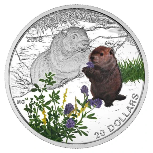 臺灣金拓 白銀銀幣 2016加拿大動物寶寶系列—土撥鼠精鑄銀幣