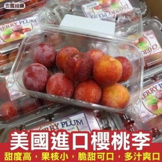 【WANG 蔬果】美國加州櫻桃李450gx5盒(450g/盒)