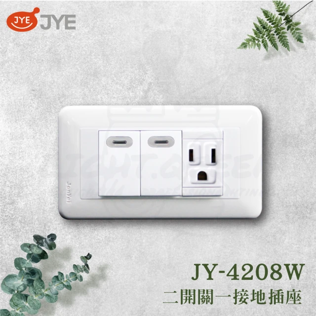 中一電工 JYE 2入組 PANDA 熊貓系列 夜光壁切(二開關一接地插座組 JY-4208W)