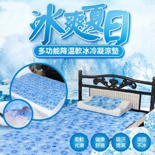 【ROYAL LIFE】多功能降溫軟冰冷凝涼墊-小款 2入組(水涼墊/寵物冰涼墊/冷凝水晶墊/床墊/降溫墊 小款)