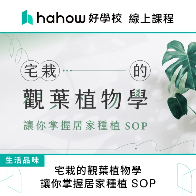 Hahow 好學校 宅栽的觀葉植物學：讓你掌握居家種植 SOP