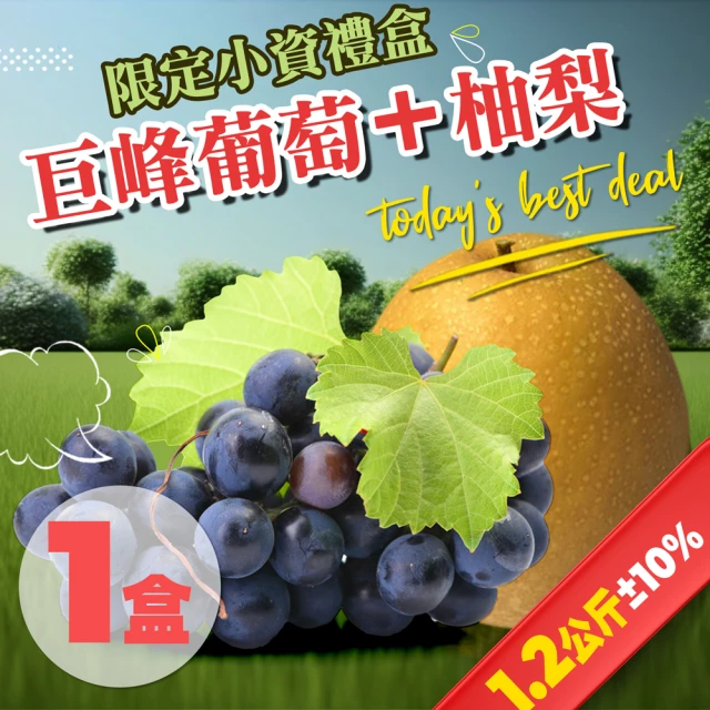 果樹寶石 卓蘭柚梨+巨峰葡萄禮盒x1盒（1.2公斤±10%/盒）(小資組合 高級享受 農場低溫直送)