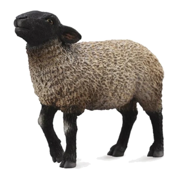 collectA 動物系列-黑臉羊(886367)