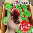 【光合果物】紐西蘭rockit樂淇小蘋果 4管家庭號(4顆/管)