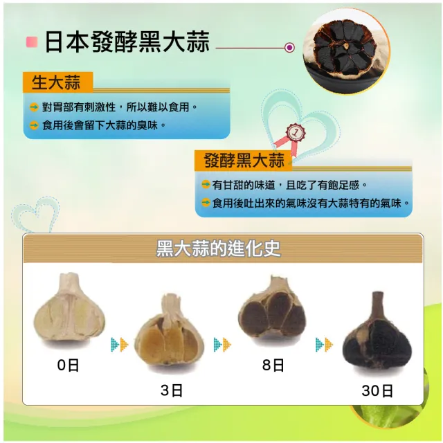 【湧鵬生技】金香草素食膠囊6入組(金香草 療肺草 日本專利黑蒜 每盒30顆 共180顆)