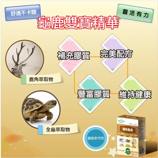 【湧鵬生技】鱷魚龜鹿6入組(鱷魚;全龜;鹿角;每盒60顆;共360顆)