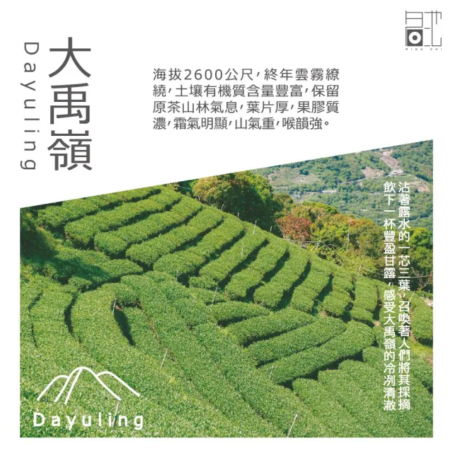 【名池茶業】(定期配)極品大禹嶺手採高冷茶葉40gX2組