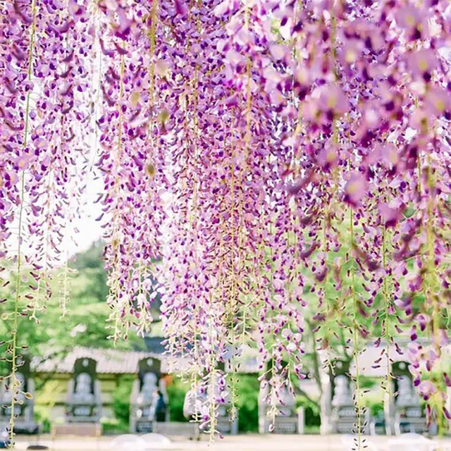 【園藝世界】藤の花-2束(藤花 人造花束)