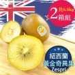 【RealShop】紐西蘭Zespri特大黃金奇異果2箱(18-22顆/3.3kg/箱 真食材本舖)