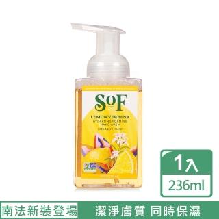 【South of France 南法】精油洗手慕斯 格拉斯馬鞭草 236mL(充滿提振的的柑橘類與舒服的馬鞭草香氣)