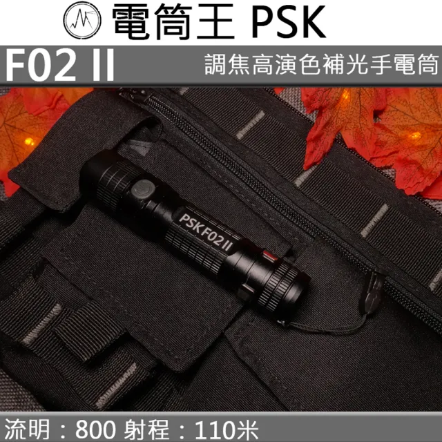 【PSK】F02 II 800流明 高顯色攝影補光調焦LED手電筒 USB-C F02 進階 強光 平價攝影補光