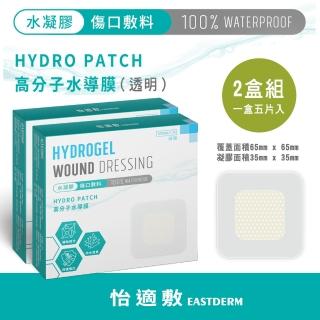 【EASTDERM 怡適敷】水凝膠傷口敷料-5片入黏貼範圍65mmX65mm(2盒入)