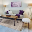 【山德力】玫瑰金地毯160X230多款可選(適用於客廳、起居室空間)